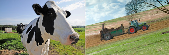 Rural Cheshire